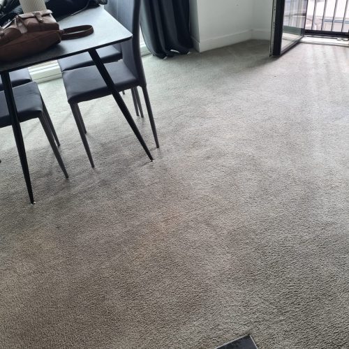 Carpet Cleaning Service Manchester