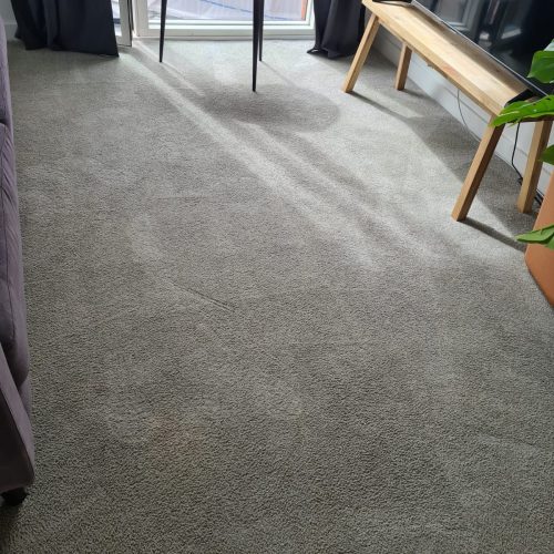Carpet Cleaning Service Manchester8